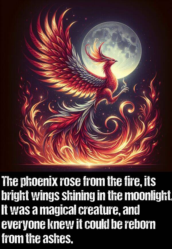 everyone: The phoenix rose from the fire, its bright wings shining in the moonlight. It was a magical creature, and everyone knew it could be reborn from the ashes.