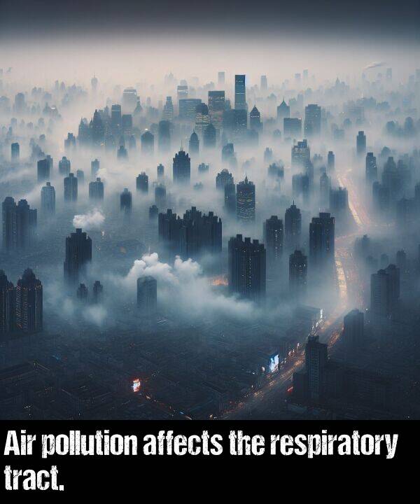 affects: Air pollution affects the respiratory tract.