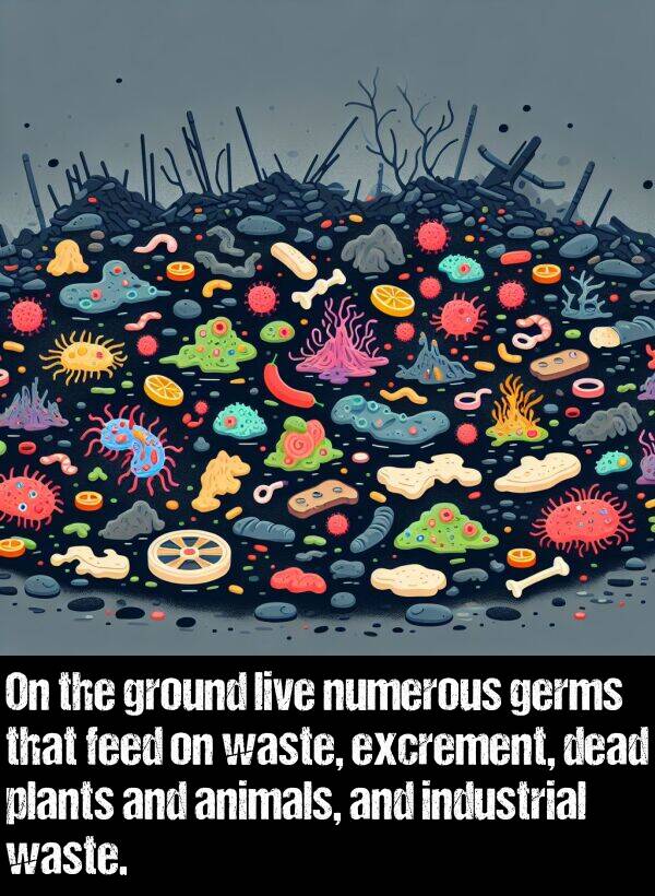 waste: On the ground live numerous germs that feed on waste, excrement, dead plants and animals, and industrial waste.