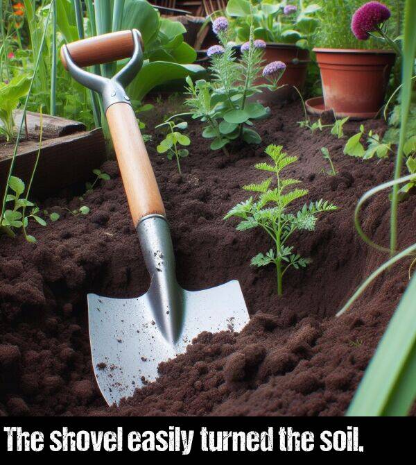 the: The shovel easily turned the soil.