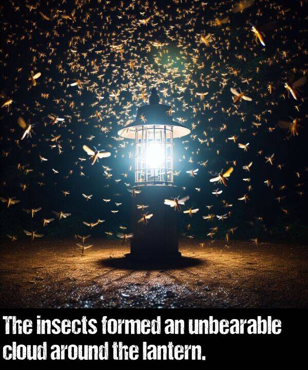 insects: The insects formed an unbearable cloud around the lantern.