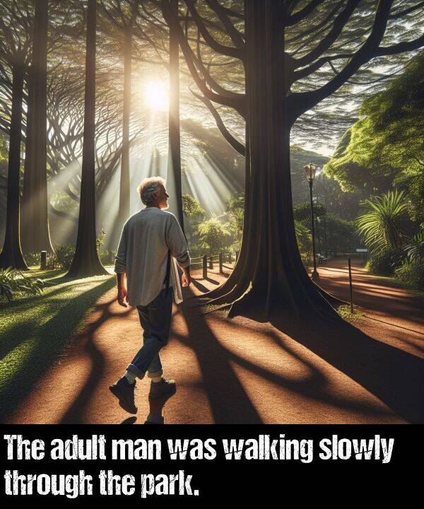 walking: The adult man was walking slowly through the park.