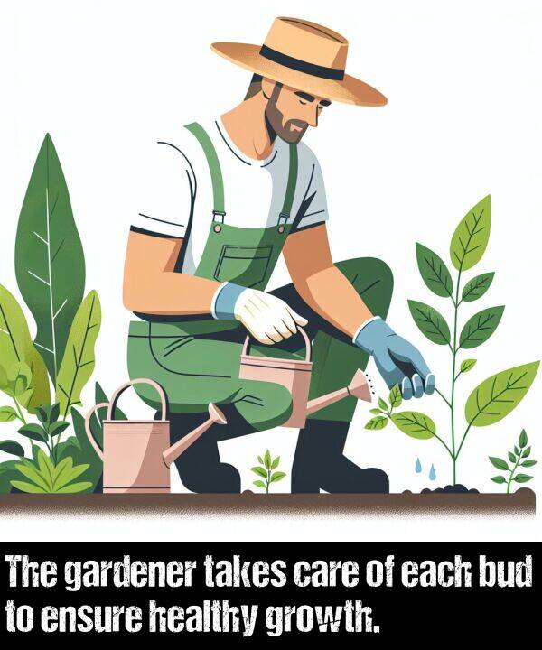 bud: The gardener takes care of each bud to ensure healthy growth.