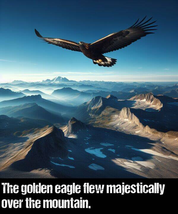 golden: The golden eagle flew majestically over the mountain.