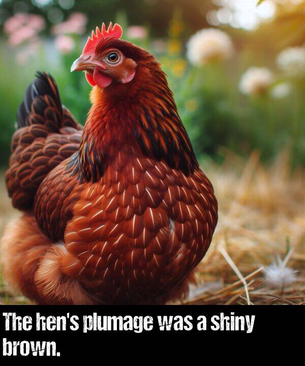 plumage: The hen's plumage was a shiny brown.