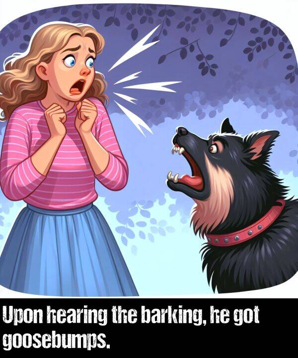 barking: Upon hearing the barking, he got goosebumps.