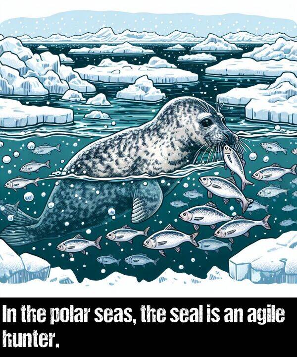 polar: In the polar seas, the seal is an agile hunter.