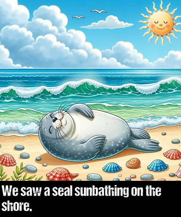 seal: We saw a seal sunbathing on the shore.