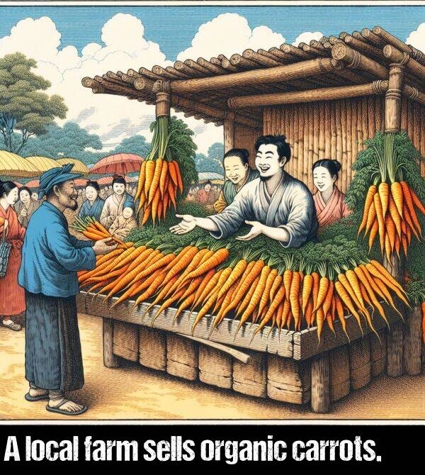 local: A local farm sells organic carrots.