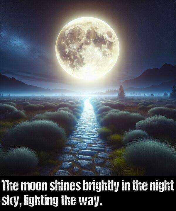 night: The moon shines brightly in the night sky, lighting the way.