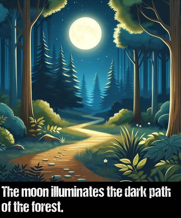 forest: The moon illuminates the dark path of the forest.