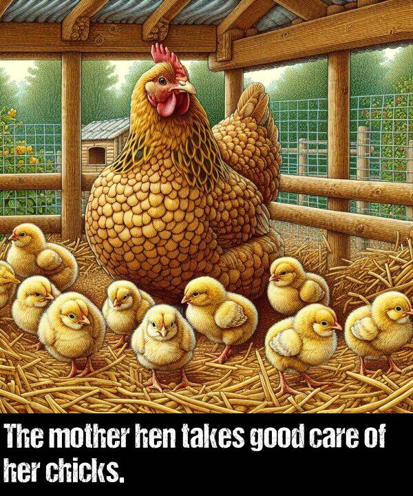 good: The mother hen takes good care of her chicks.