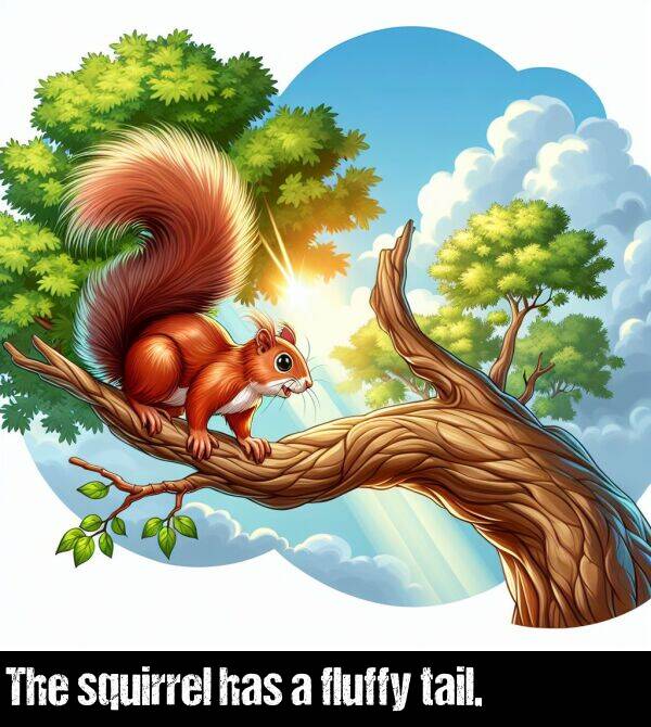 has: The squirrel has a fluffy tail.