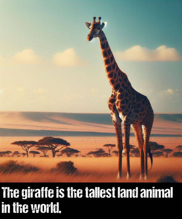 world: The giraffe is the tallest land animal in the world.