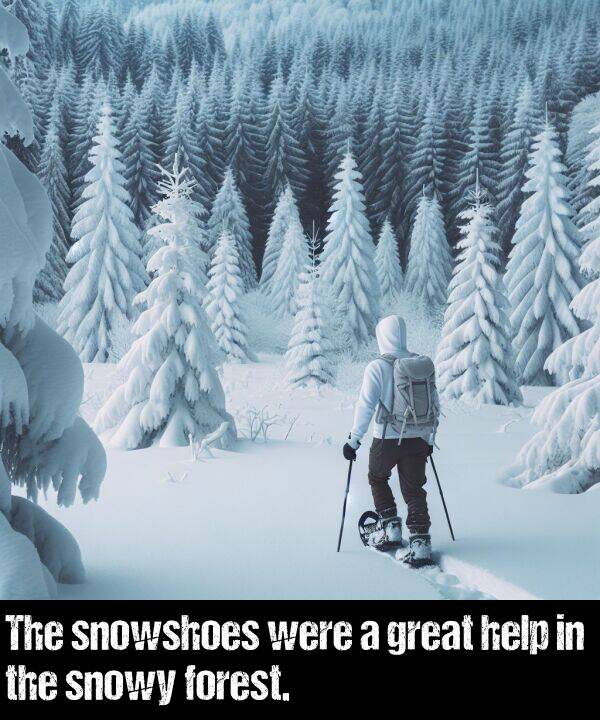 were: The snowshoes were a great help in the snowy forest.