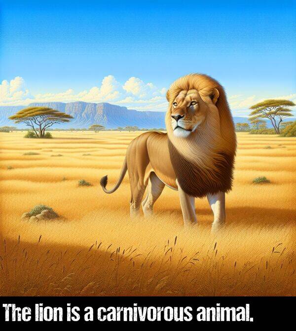 lion: The lion is a carnivorous animal.