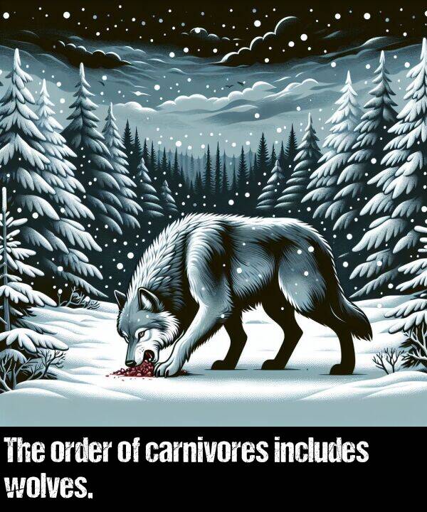 order: The order of carnivores includes wolves.