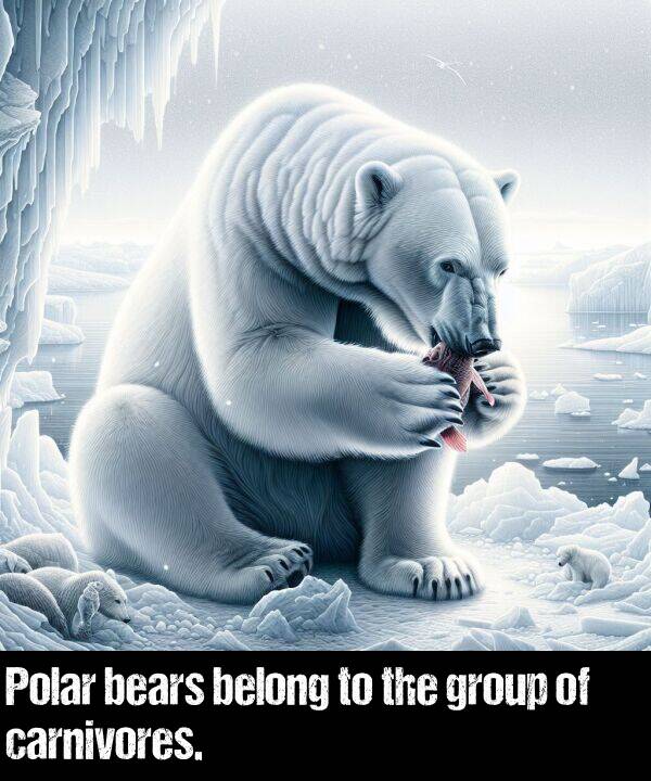 group: Polar bears belong to the group of carnivores.