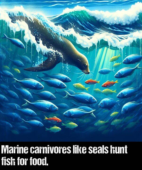 like: Marine carnivores like seals hunt fish for food.