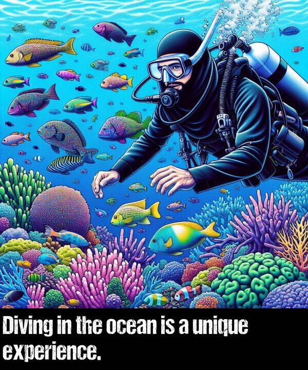 ocean: Diving in the ocean is a unique experience.