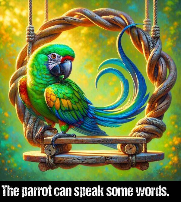 words: The parrot can speak some words.