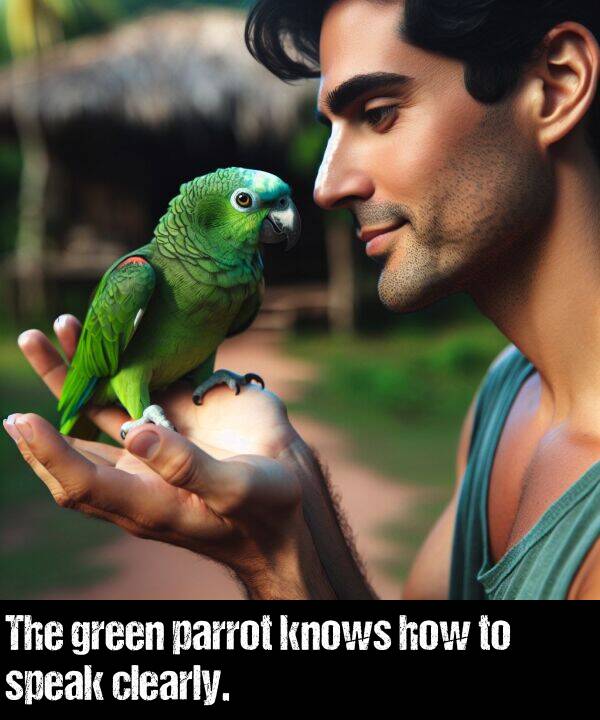 how: The green parrot knows how to speak clearly.