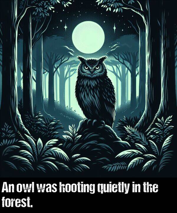 owl: An owl was hooting quietly in the forest.