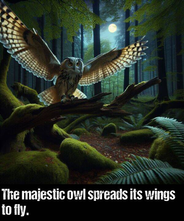 owl: The majestic owl spreads its wings to fly.