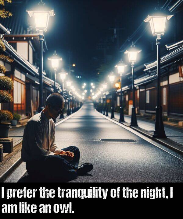 tranquility: I prefer the tranquility of the night, I am like an owl.