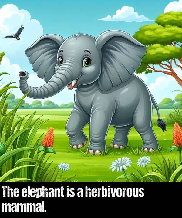 herbivorous: The elephant is a herbivorous mammal.