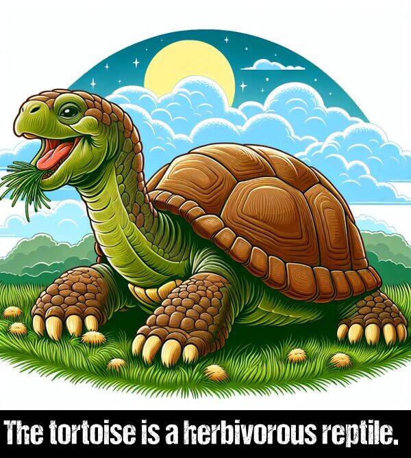 herbivorous: The tortoise is a herbivorous reptile.