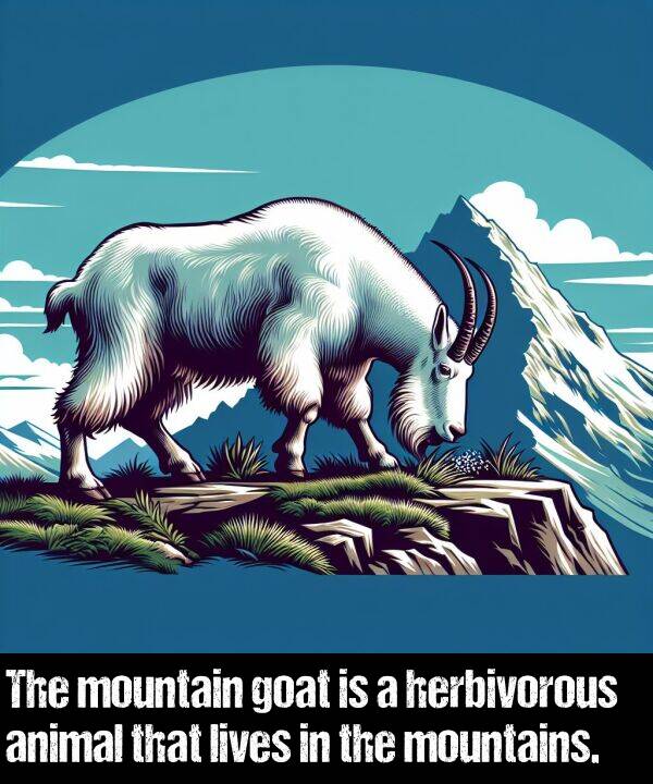 herbivorous: The mountain goat is a herbivorous animal that lives in the mountains.