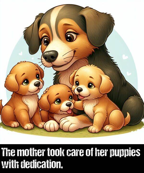 care: The mother took care of her puppies with dedication.