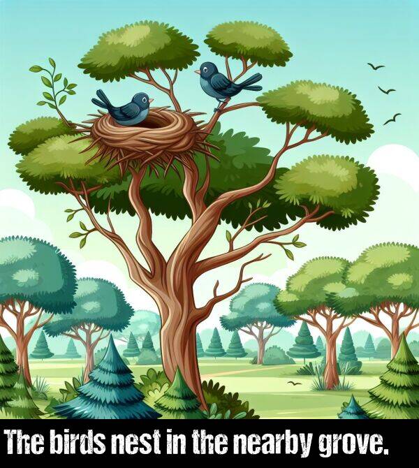 birds: The birds nest in the nearby grove.