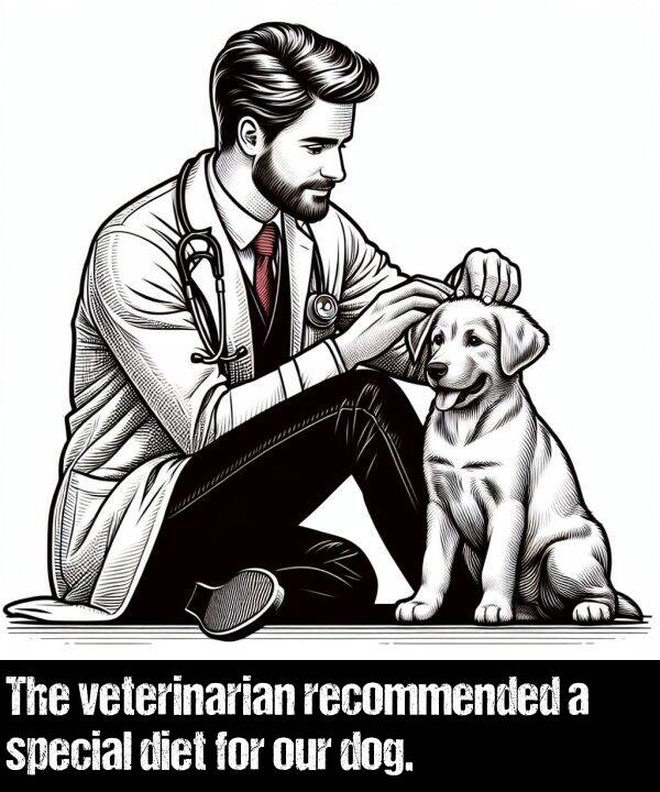 special: The veterinarian recommended a special diet for our dog.