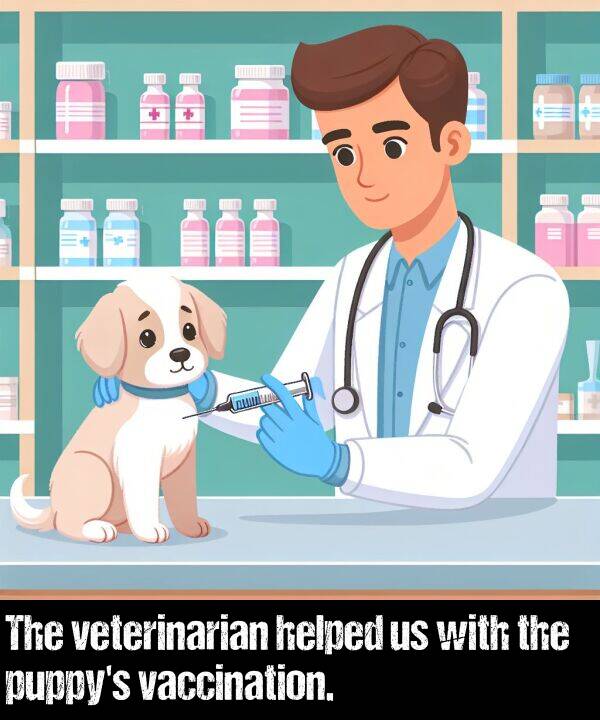 helped: The veterinarian helped us with the puppy's vaccination.