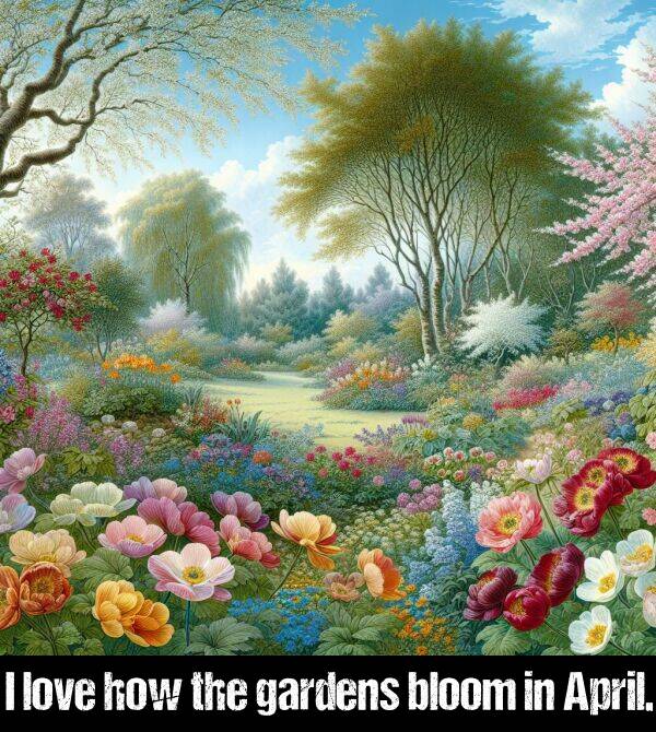 bloom: I love how the gardens bloom in April.