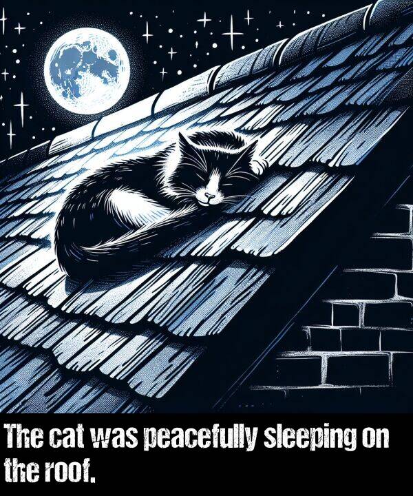 peacefully: The cat was peacefully sleeping on the roof.