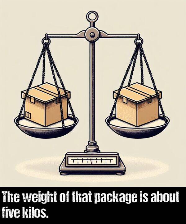 that: The weight of that package is about five kilos.