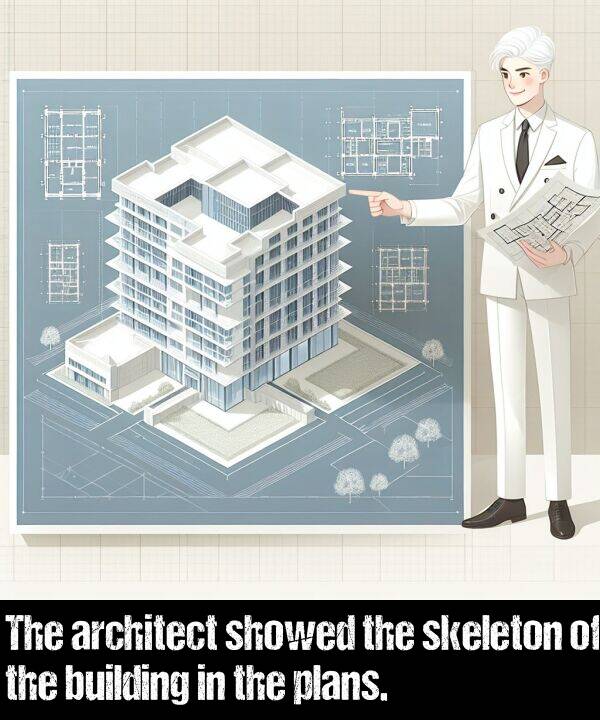 building: The architect showed the skeleton of the building in the plans.