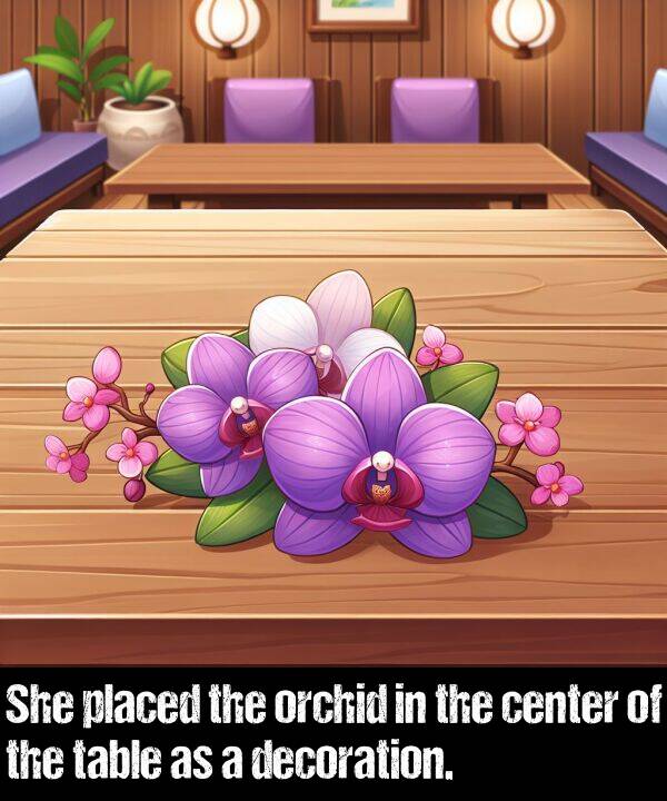 decoration: She placed the orchid in the center of the table as a decoration.