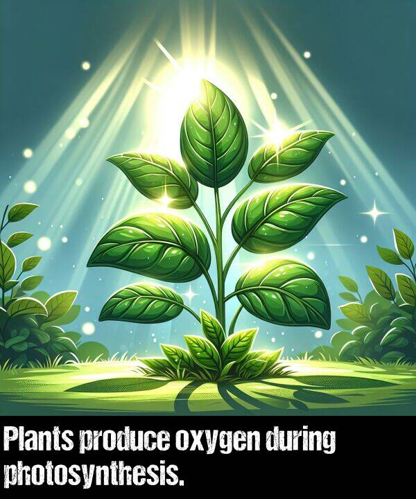 during: Plants produce oxygen during photosynthesis.