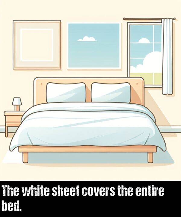 entire: The white sheet covers the entire bed.