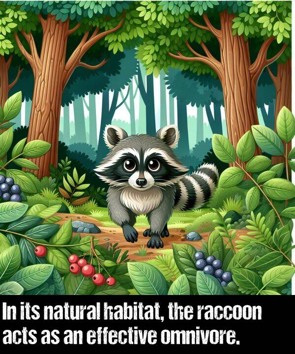 natural: In its natural habitat, the raccoon acts as an effective omnivore.