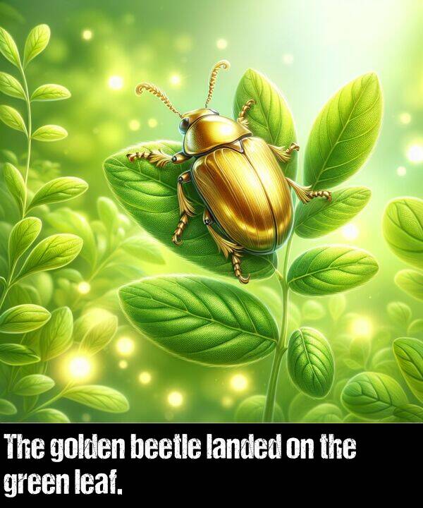 beetle: The golden beetle landed on the green leaf.