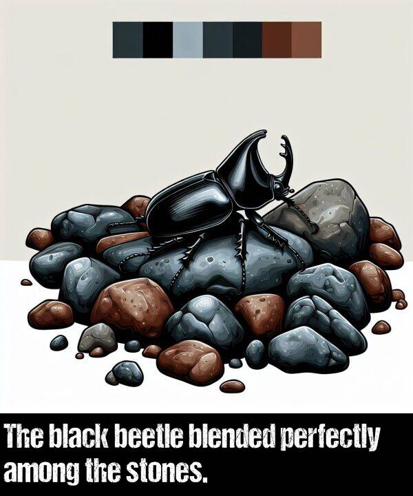 perfectly: The black beetle blended perfectly among the stones.