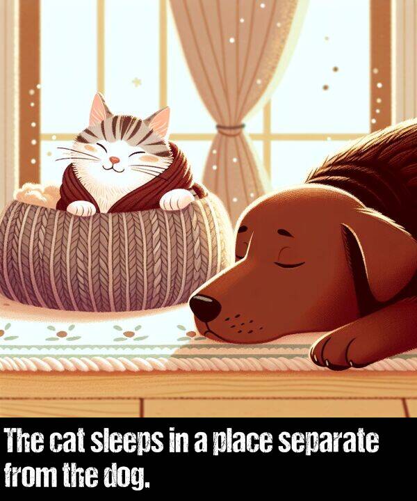 from: The cat sleeps in a place separate from the dog.