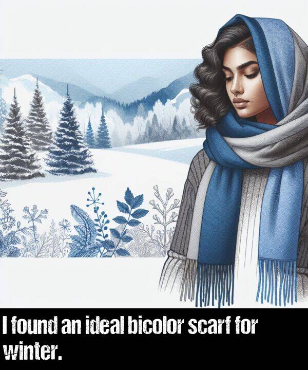 bicolor: I found an ideal bicolor scarf for winter.