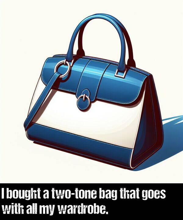 bag: I bought a two-tone bag that goes with all my wardrobe.