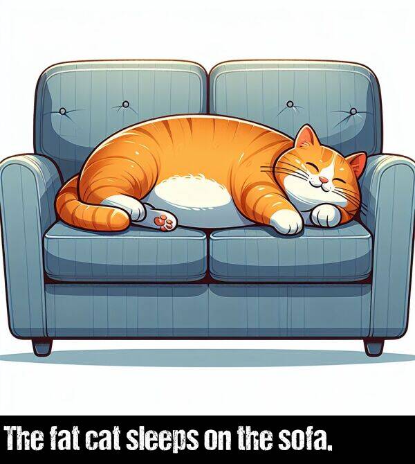 the: The fat cat sleeps on the sofa.